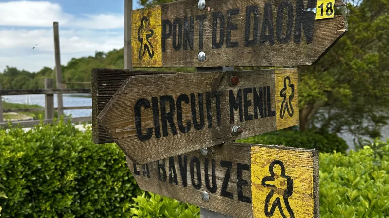 Featured image for post: Moving Moving Moving