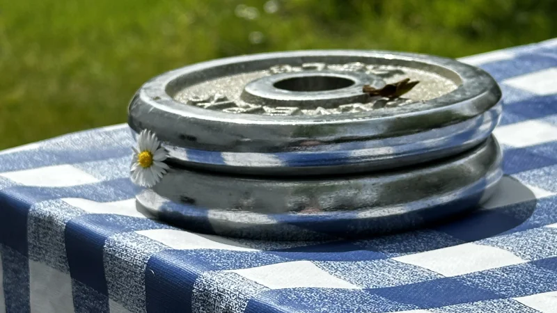 Featured image for post: Salad Days