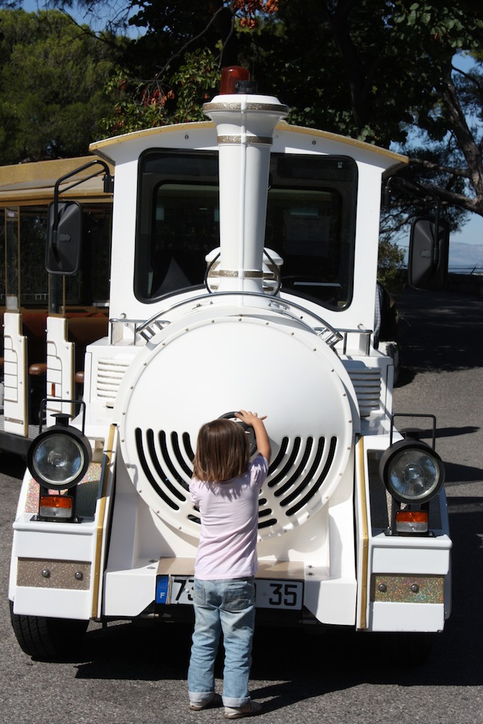 The Little Train and a Little Driver!