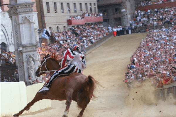 Palio di Siena 2008 2