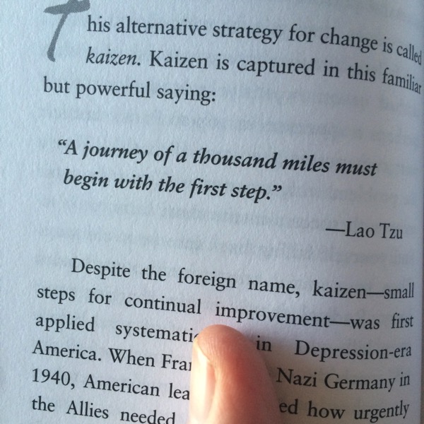 IMG_6482.JPG IMG 6482