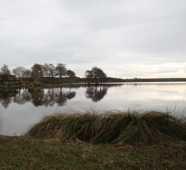 IMG_5152.png IMG 5152