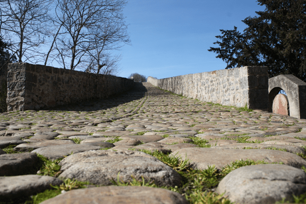 IMG_5201.png IMG 5201