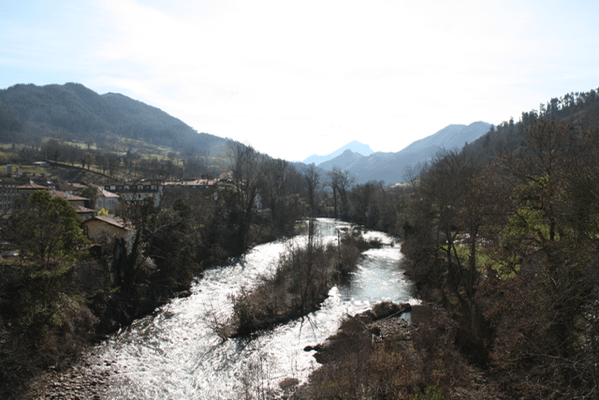 IMG_5202.png IMG 5202