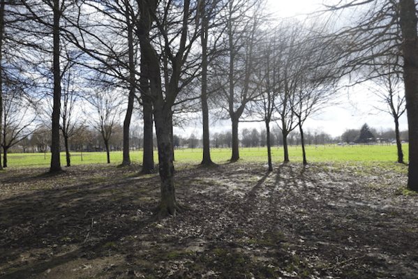 2018 - 1 (1).png 2018 1 1