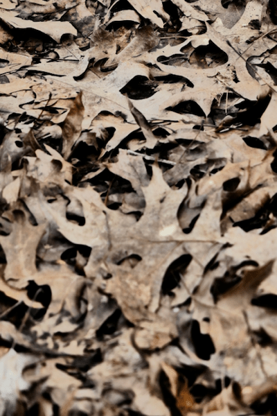 2018 - 2 (1).png 2018 2 1