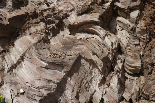 2018 - 12.png 2018 12