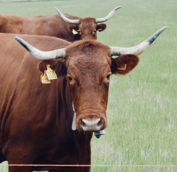 2018 - 13.png 2018 13