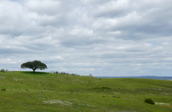 2018 - 14.png 2018 14