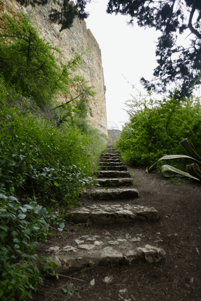 2018 - 11.png 2018 11